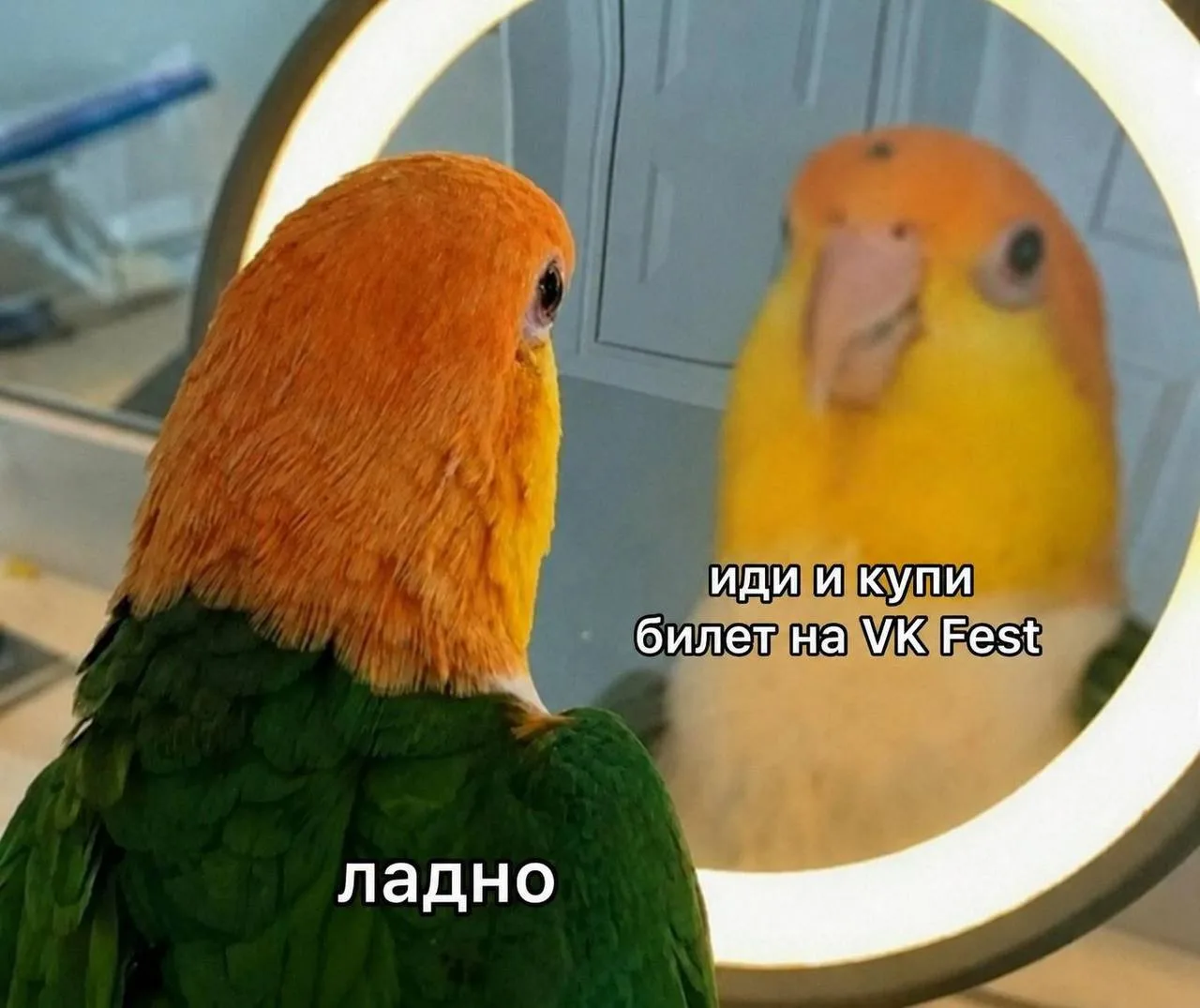 Ваш внутренний голос сегодня особенно убедителен 😏

Билеты по ссылке