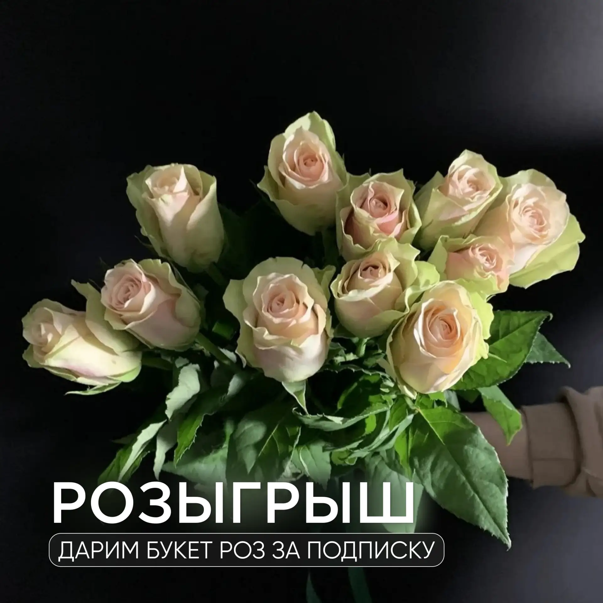🎉 Результаты розыгрыша: