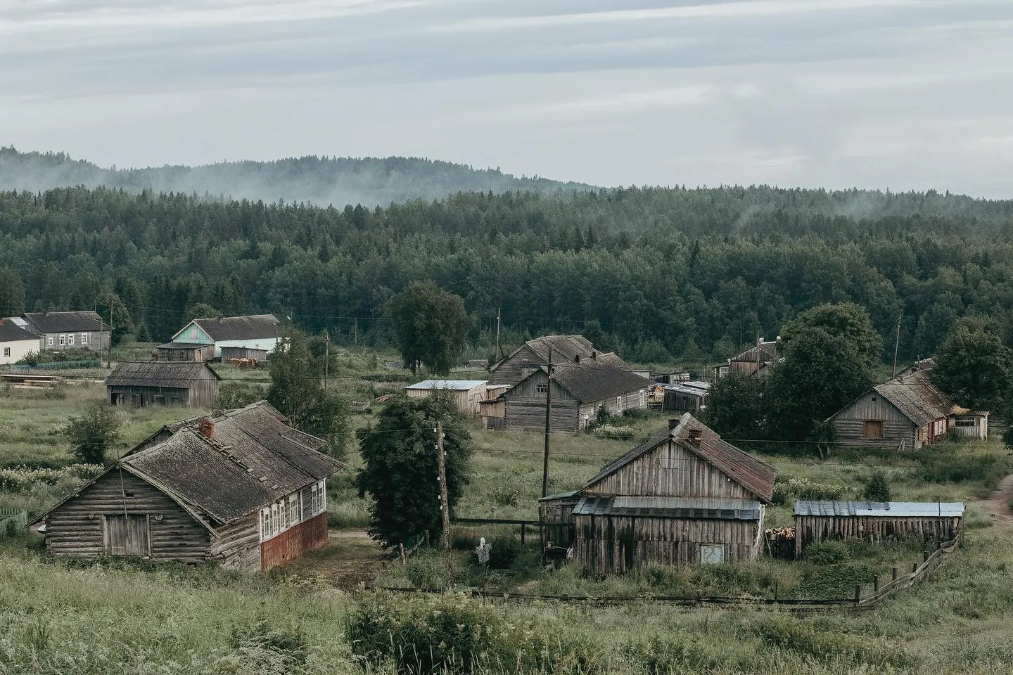 🦭 Летняя Золотица — деревня у Белого моря, где можно встретить тюленей