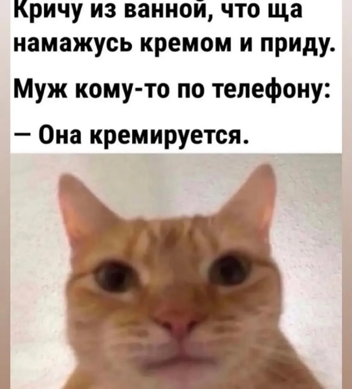 Открытки и приколы 🌸