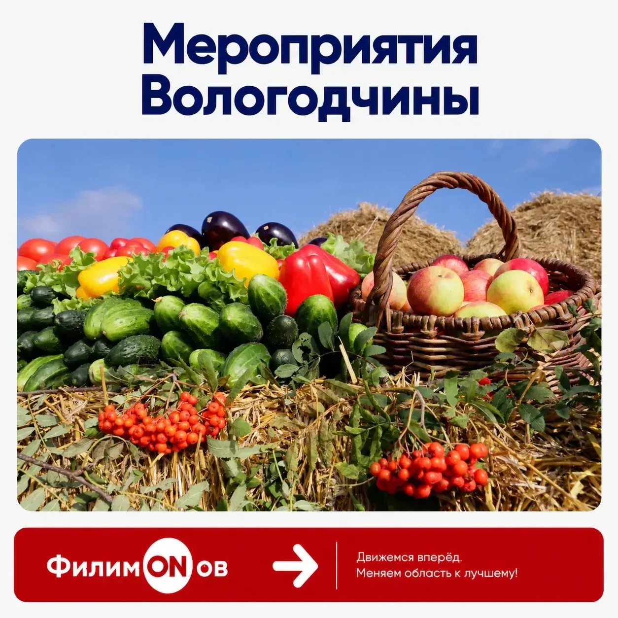 Проект #ФилимONов продолжается. Сегодня — о том, как Вологодчина становится территорией...