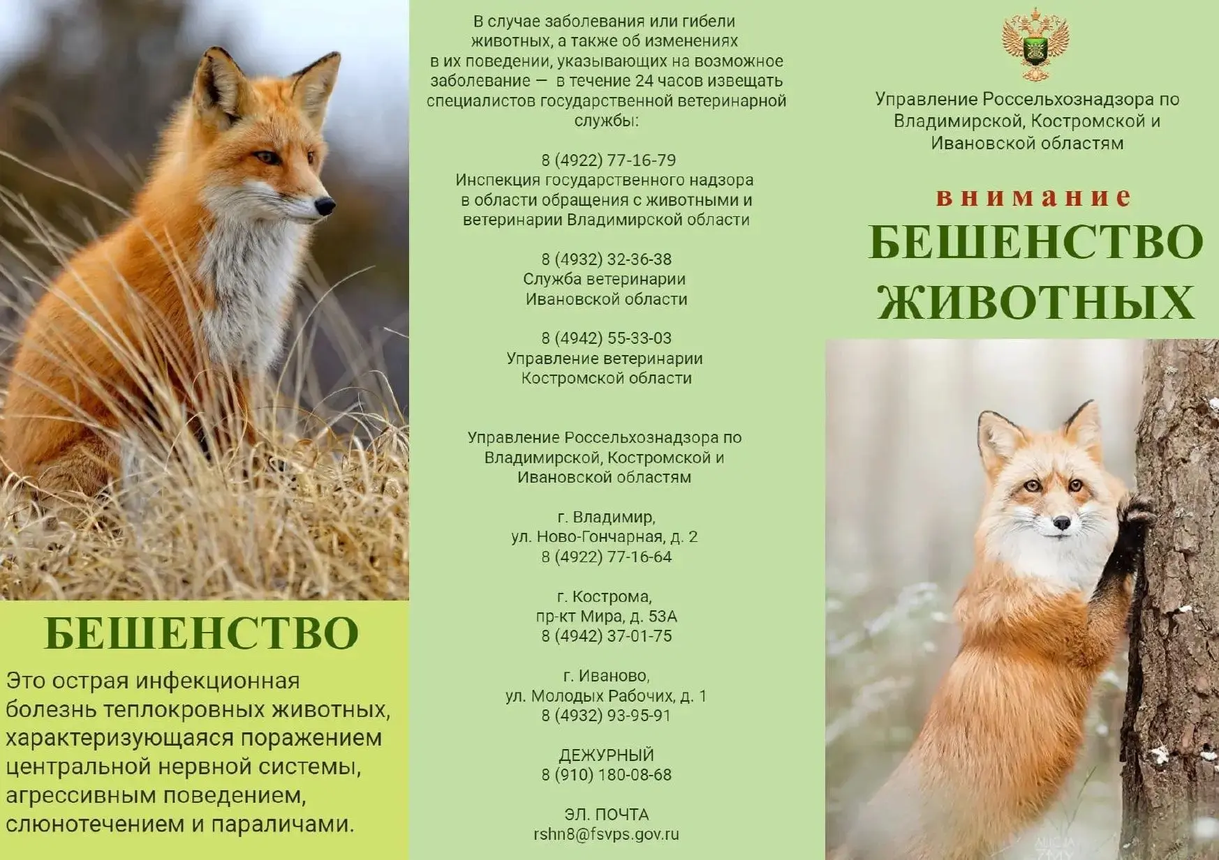 Сообщаем важную информацию о санитарно-эпидемиологической обстановке.