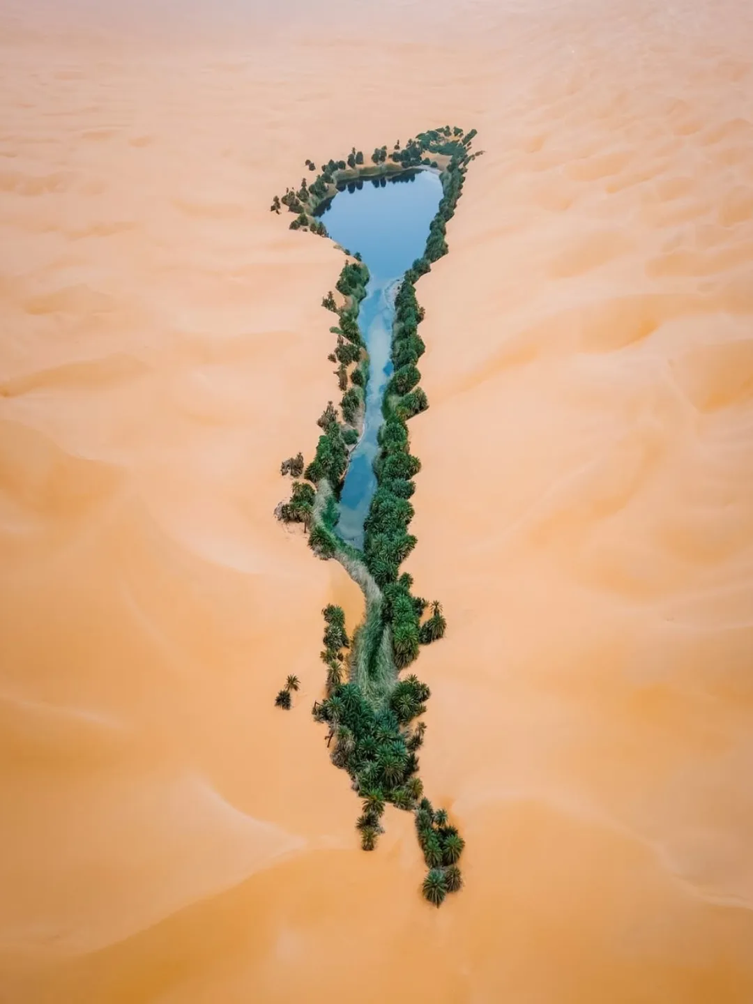 🏝️ Посреди Сахары, на юго-западе Ливии, находится озерот Umm al-Maa — «Мать воды».