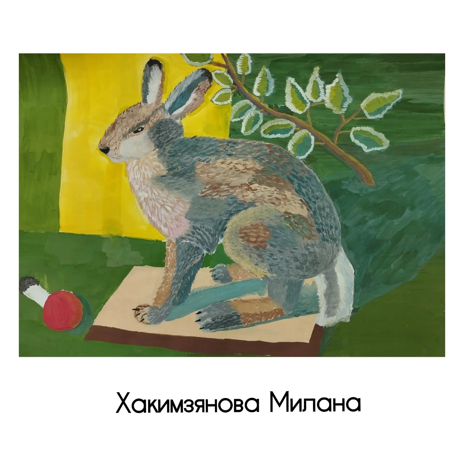 🐰🐰🐰