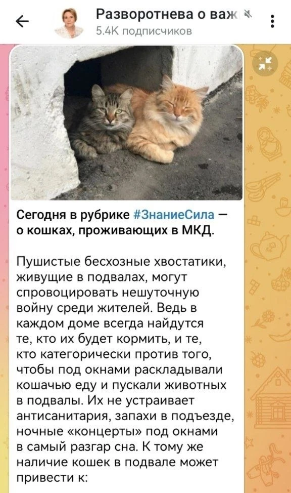 Опасный прецедент или «зеленый свет» для жестокости? ❗️

Читаю пост депутата ГД Светланы Разворотнев