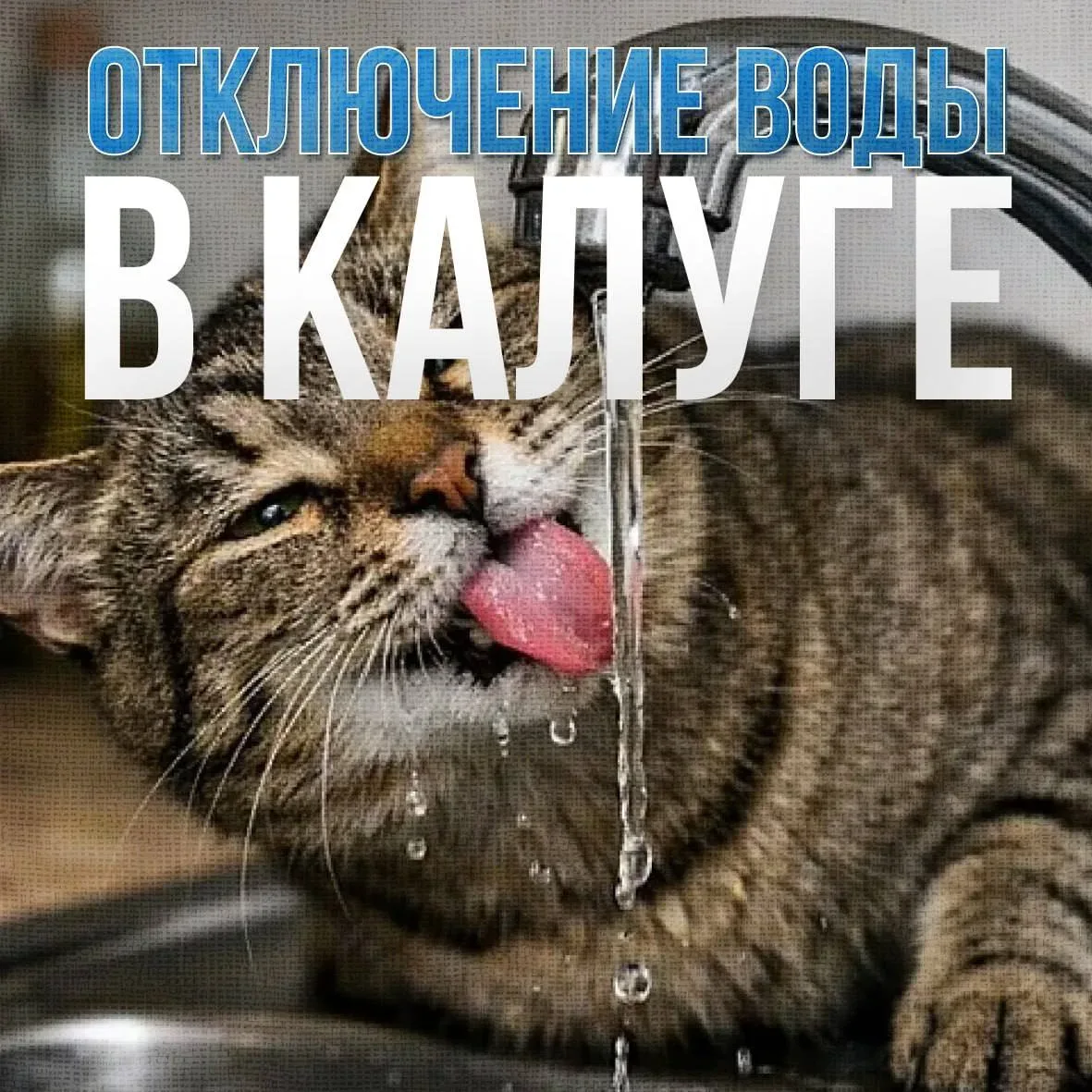 Где завтра отключат холодную воду?