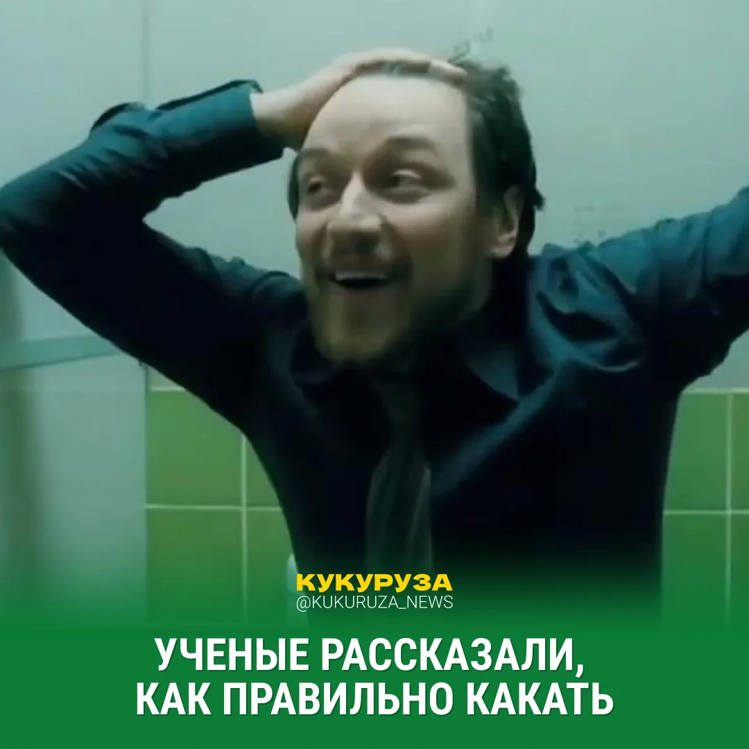 Пришли обсудить действительно важные вопросики — а как, собственно КАКАТЬ😐  Ученые дали главный сове