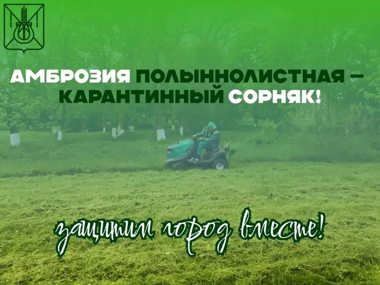 🌿 Уют начинается у твоего порога