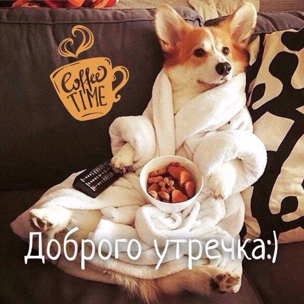 ПОЗДРАВЬ КРАСИВО 🥳
