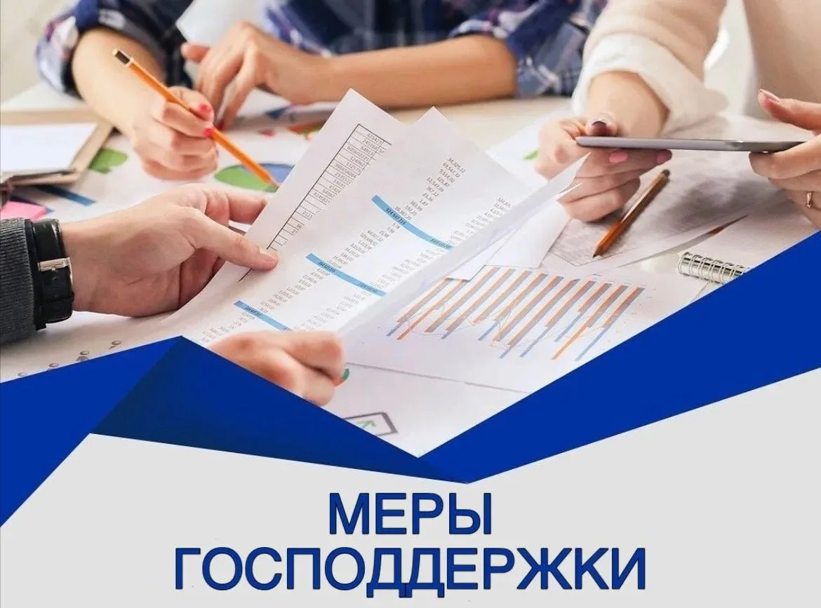 Меру государственной поддержки могут получить:
