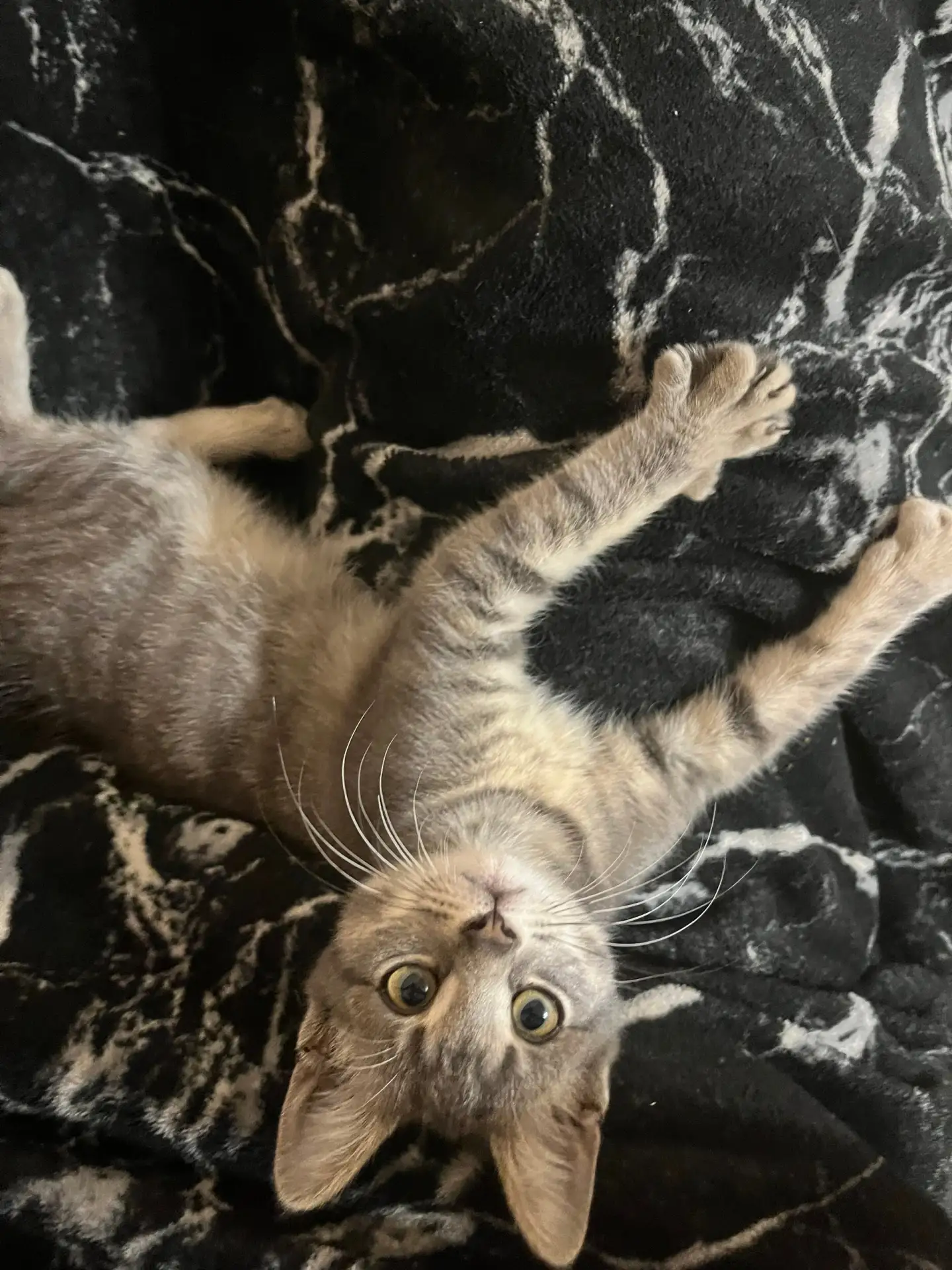 отдам в добрые руки маленькую и милую девочку❤️