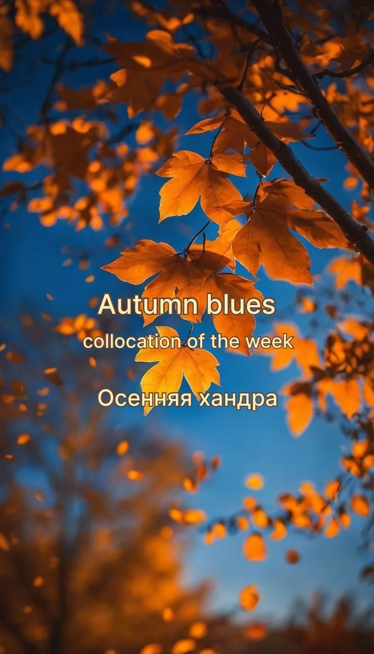 Разбираемся в хитросплетениях английского языка - вводим новую рубрику #collocationofth...