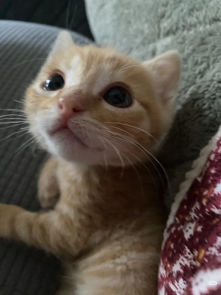 Спокойной ночи♥️