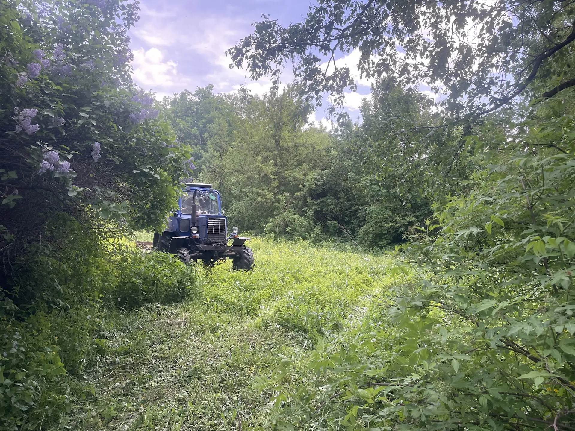 🚜 Участок готов к посадкам!