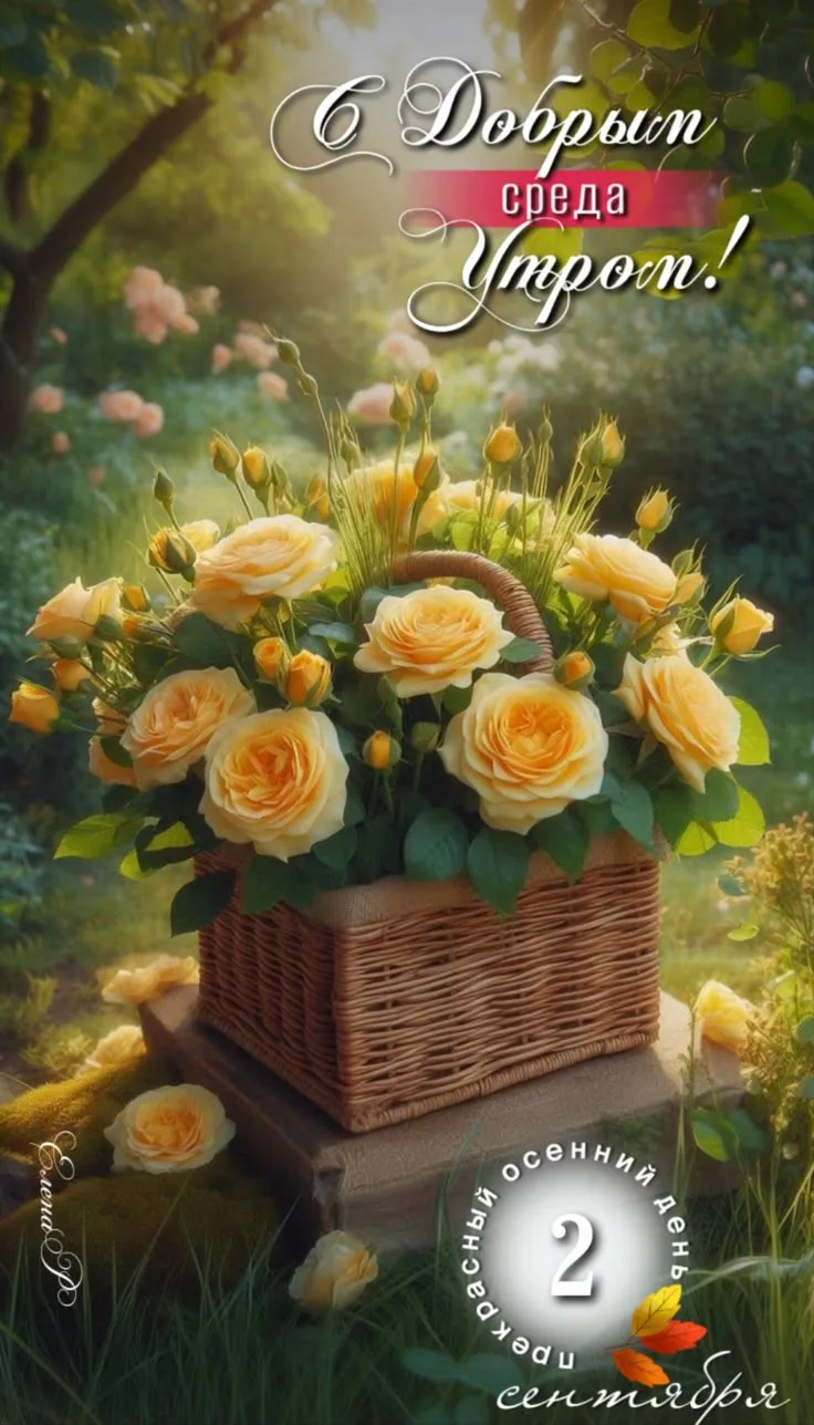 💌 Лучшие Открытки в MAX! 👉 Подписаться