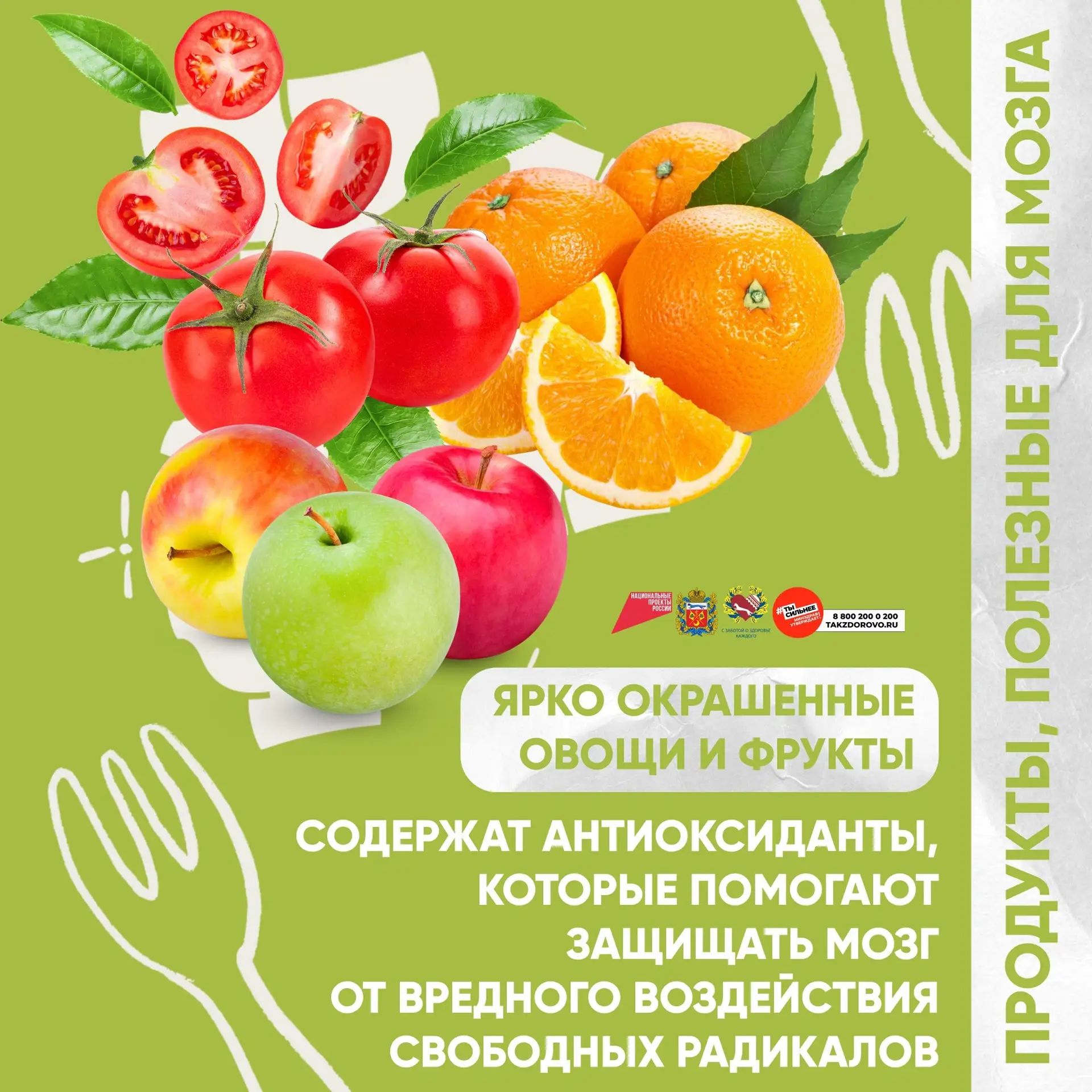 Чек-лист для супермозга: питание, привычки и отдых
Хотите, чтобы ваша голова работала ясно, а память
