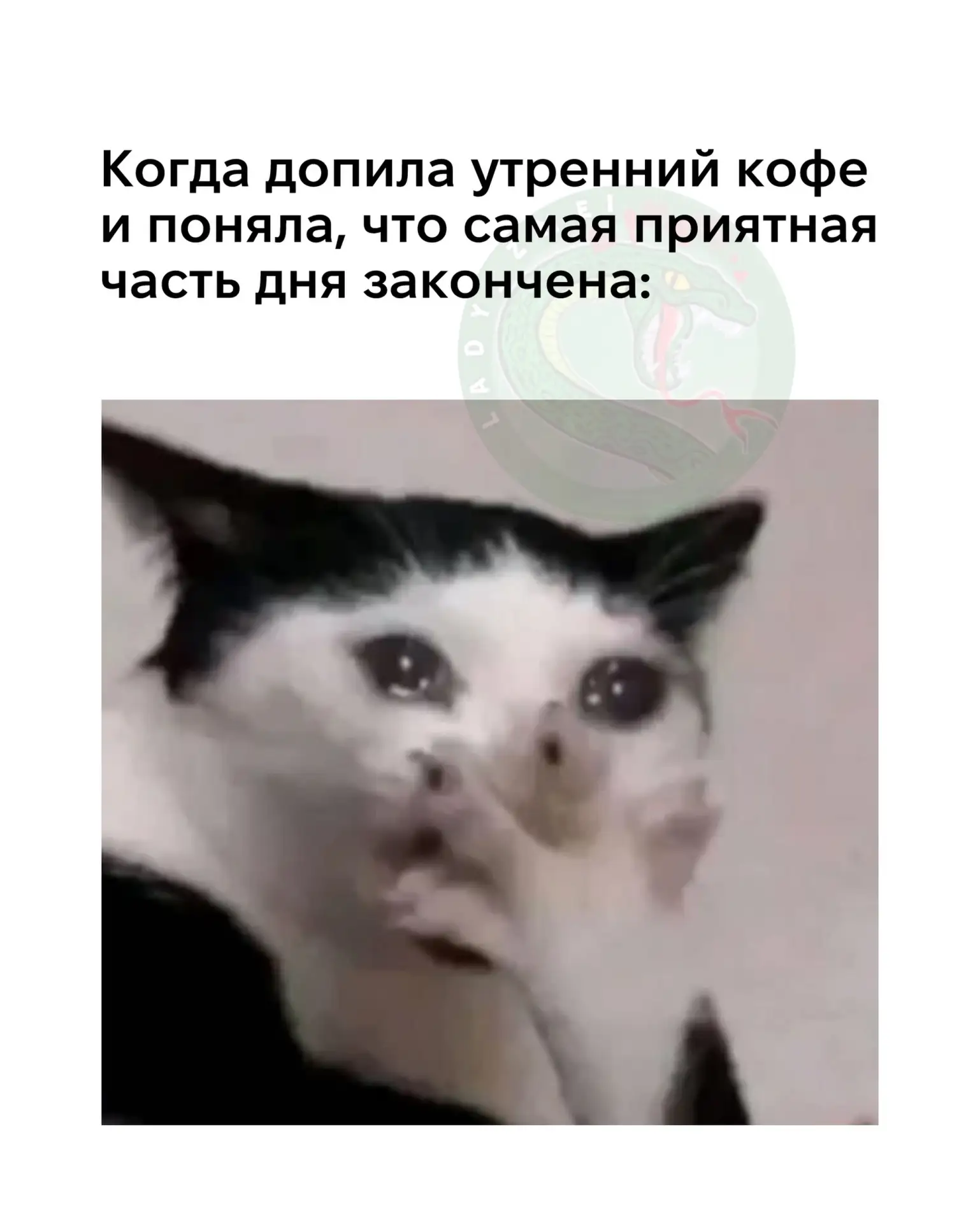 Женский юмор - Подписаться