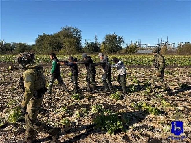 Полицейские искали мигрантов в теплицах с помощью БПЛА