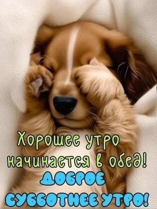 Доброе утро! ☀️

🌡 Сегодня 20 июня, суббота   
Температура воздуха   +14 до +22 °C

Переменная обла