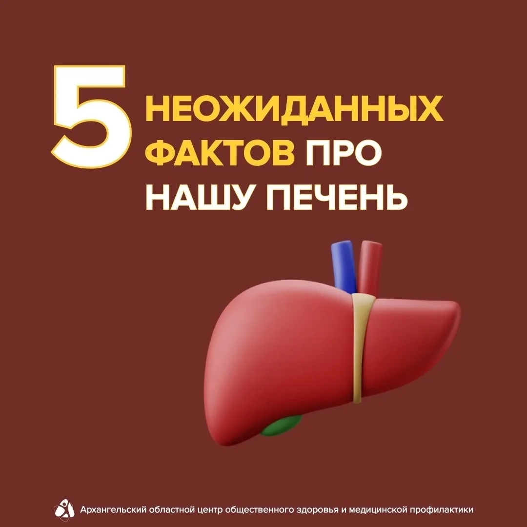 🤔 Печень: факты, которые удивят 
 
Наш организм – сложная система, и каждый орган в ней важен по-св