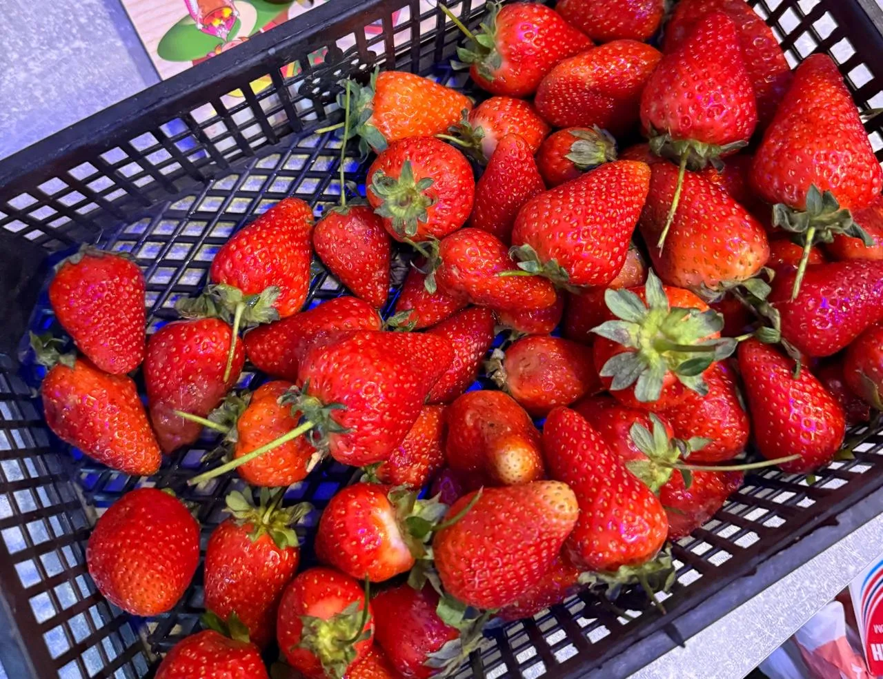 Шикарный вечер 🍓😍 Мама купила нам клубнику, ну какая она вкусная 🥰 Кушали уже клубнику? Или уже наел