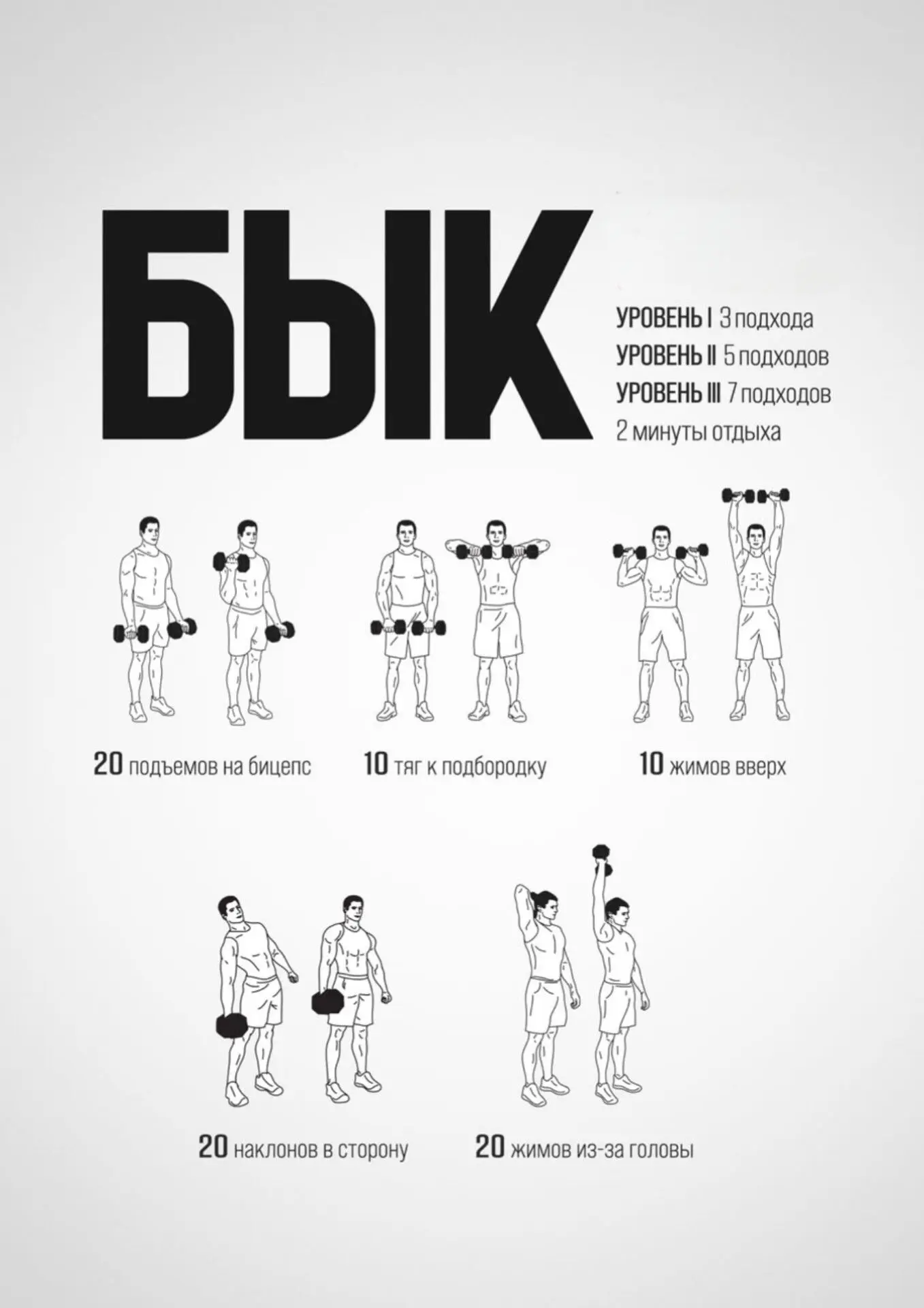 Подпишись на программы