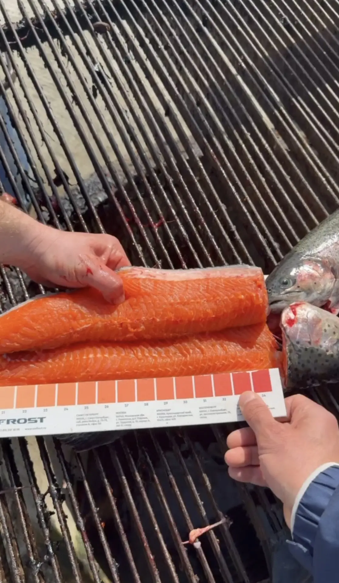 🐟 УЖЕ ЗАВТРА ПОСТУПЛЕНИЕ ОХЛАЖДЕННОЙ ФОРЕЛИ ИЗ ОСЕТИИ!

По независящим от нас причинам охлаждённая 