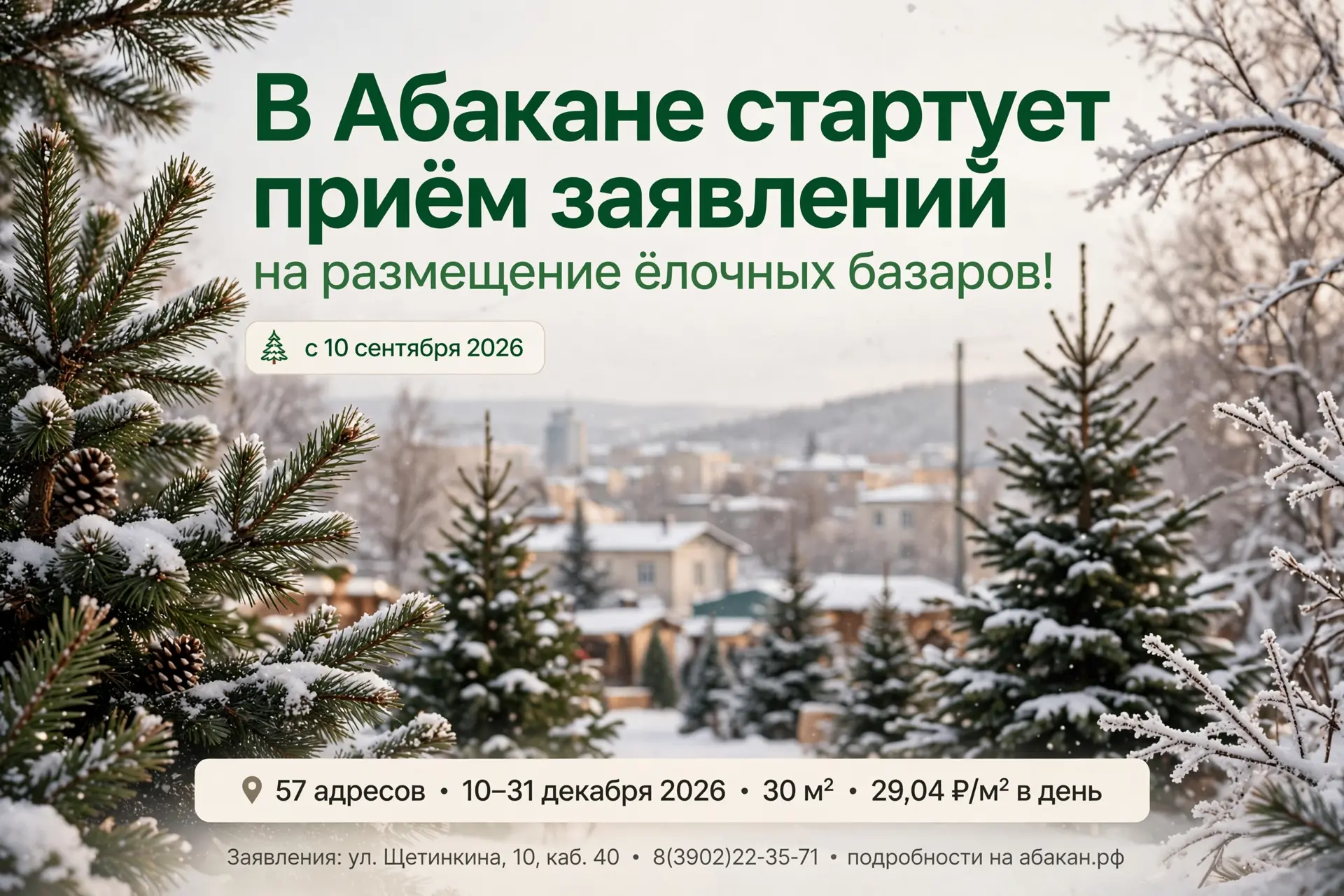 🌲 В Абакане стартует приём заявлений на размещение ёлочных базаров!
