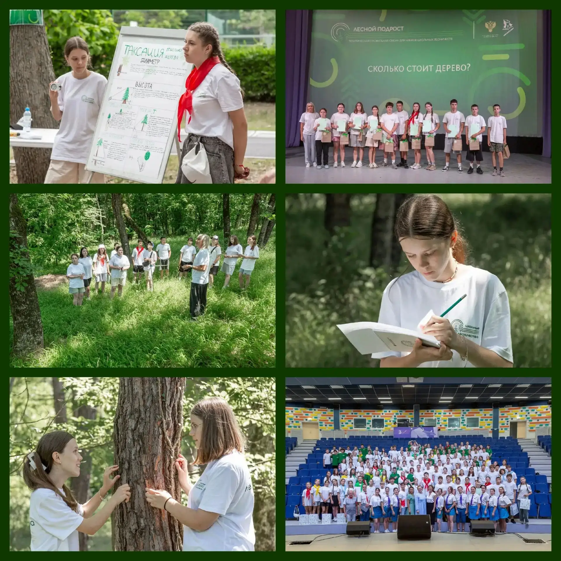 🌟 Гордимся нашими учениками!🌟