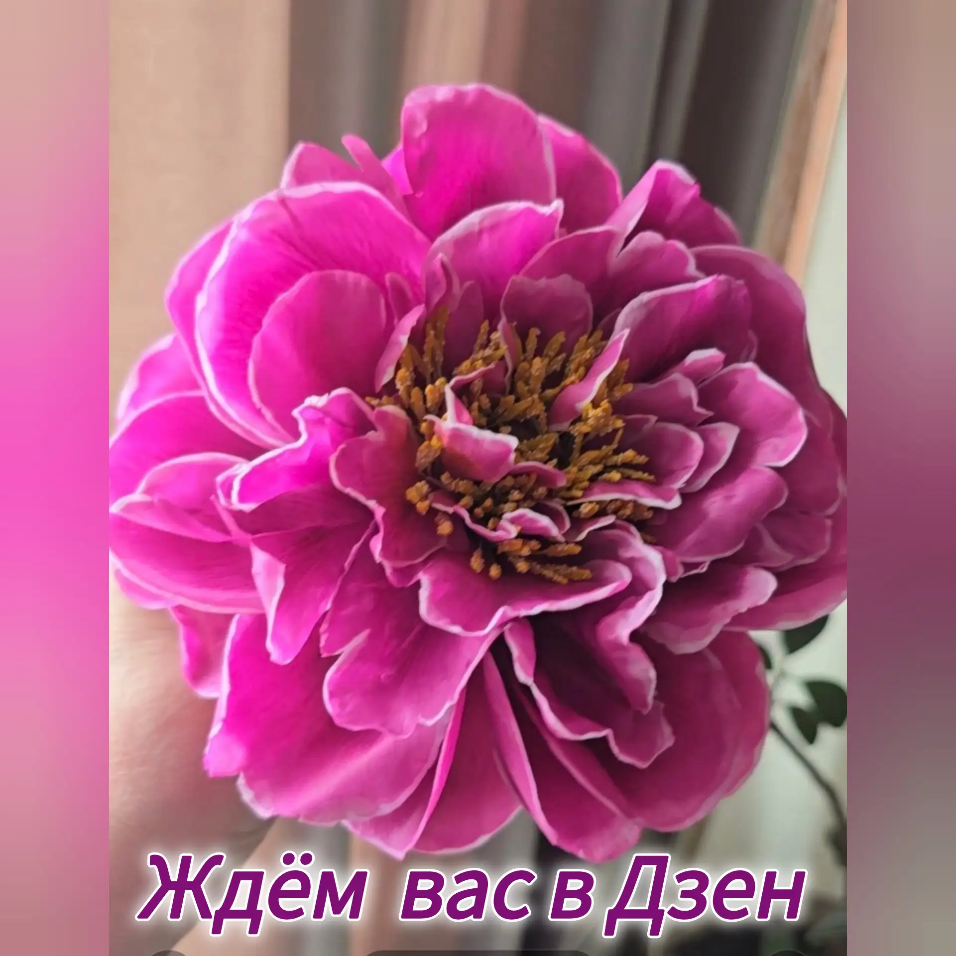 🤓А вы знали, что у нашей школы есть свой печатный орган на платформе «Дзен»?