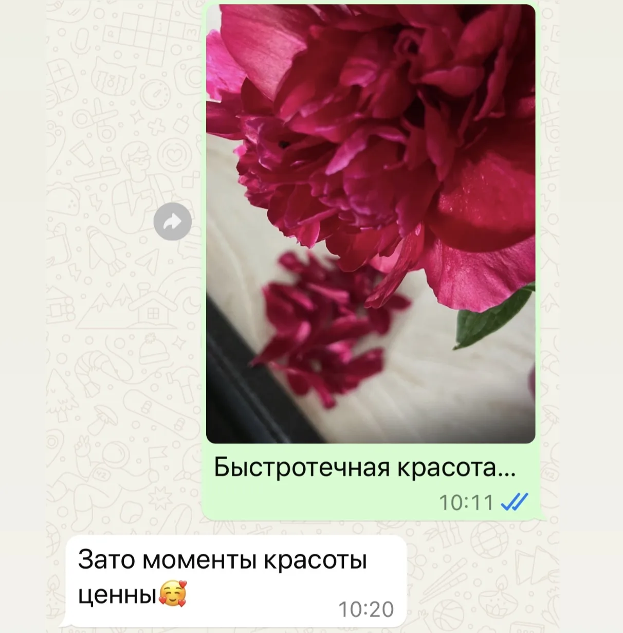 так люблю пионы 😍