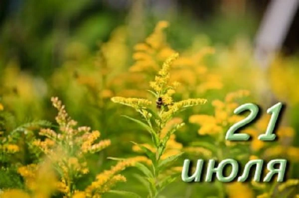 Памятные даты космонавтики.
21 июля 2026 г.
 
⏰ 21 июля в США отмечается День “Пригласите инопланетя