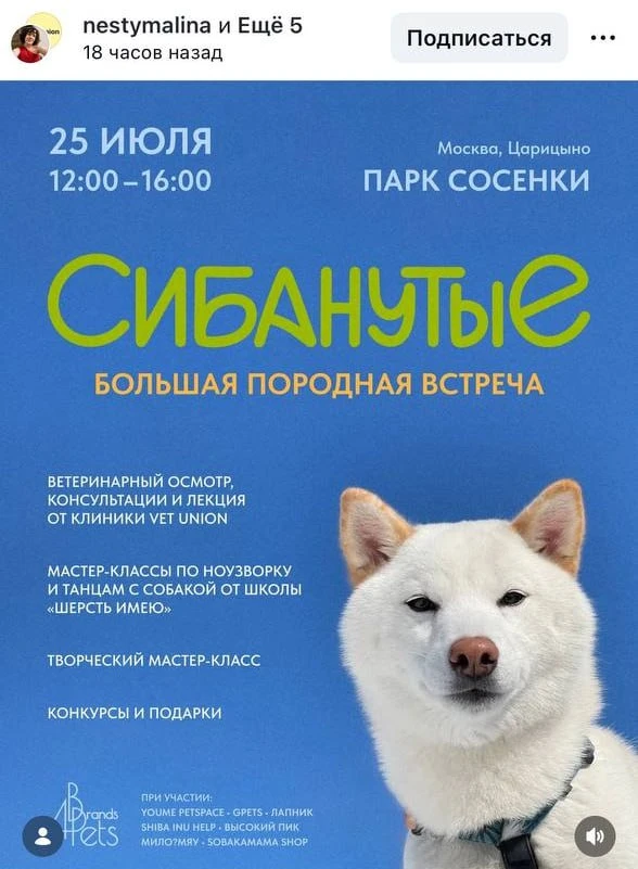 В Москве пройдет самая масштабная сходка владельцев и фанатов сиба-ину!" 🐕