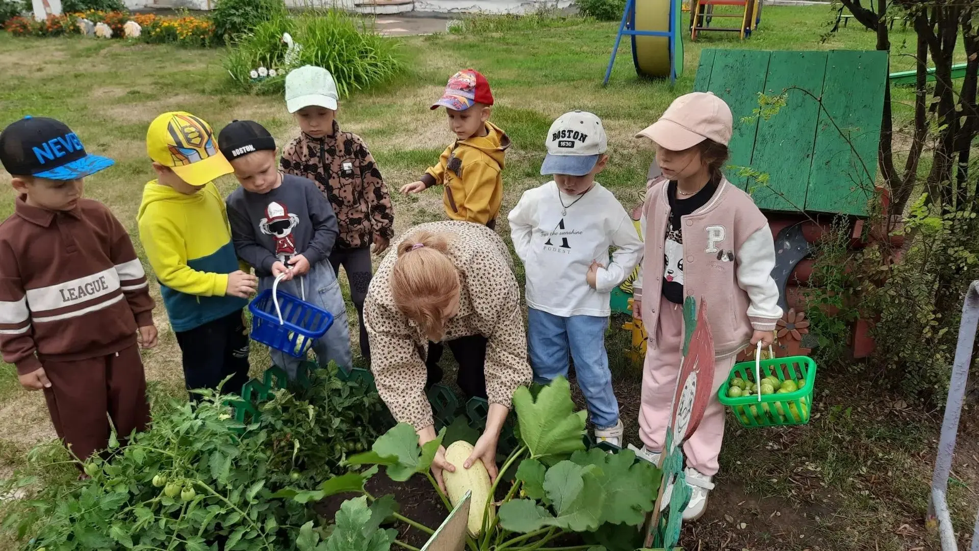 Наш весёлый огород: урожай собран! 🥕🍅