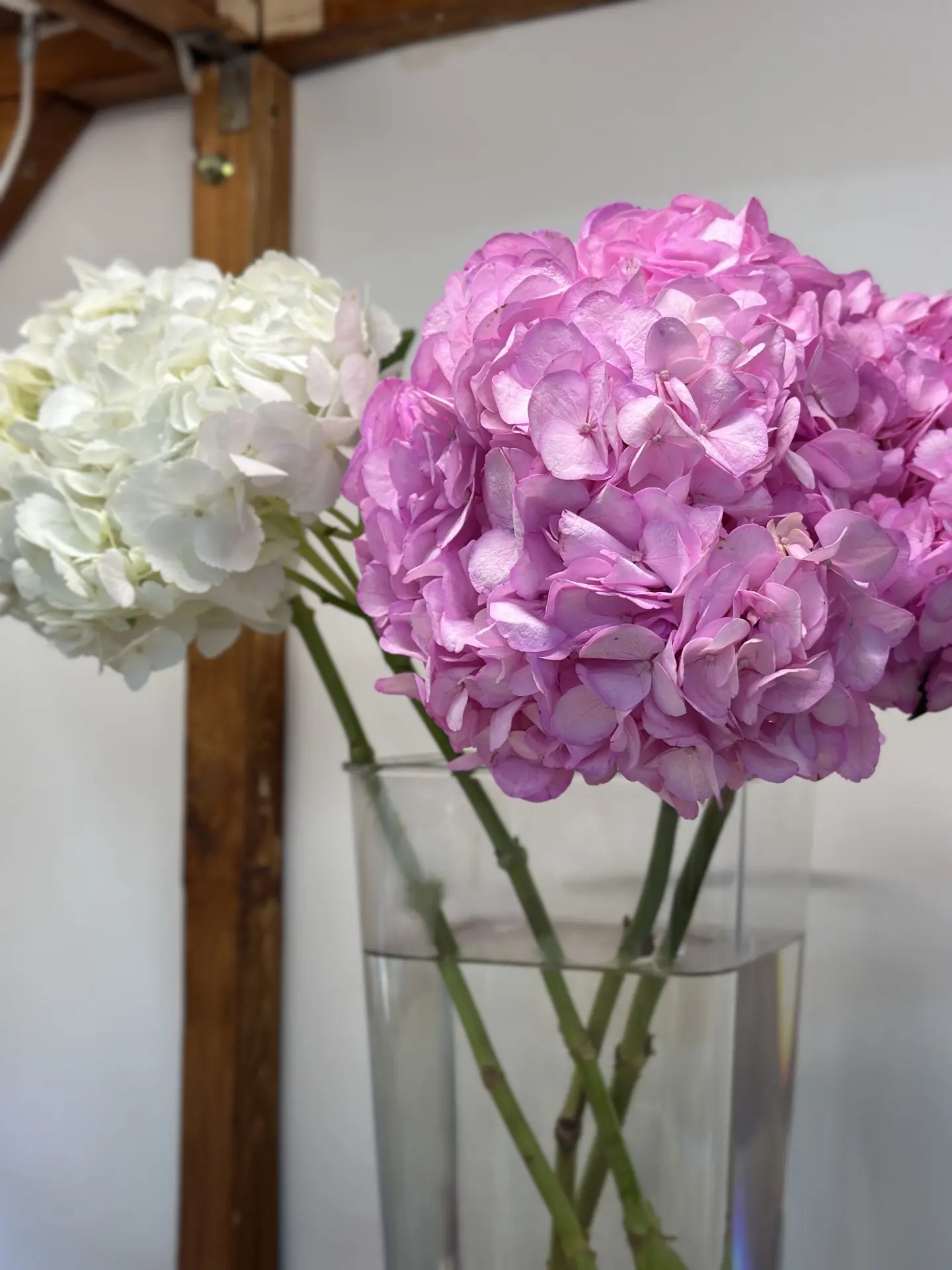 Немного кадров с сегодняшней поставки цветов 🌸
