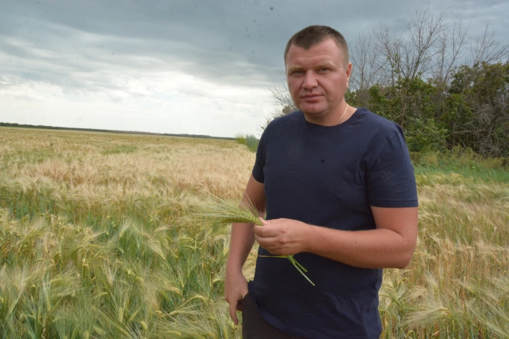 🌾 Серебряный агроном Дона