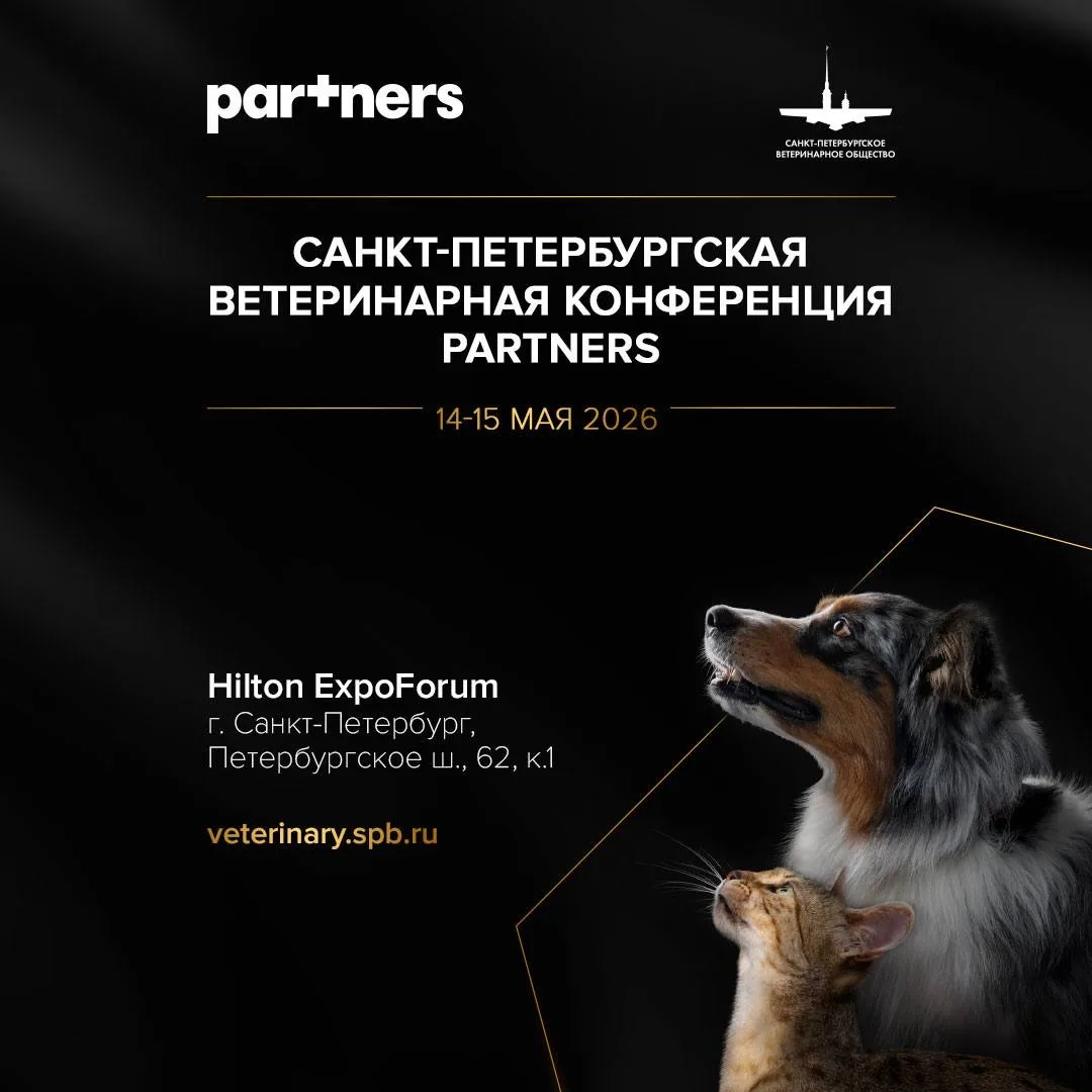 Подготовили 9 секций по терапевтическим направлениям:
