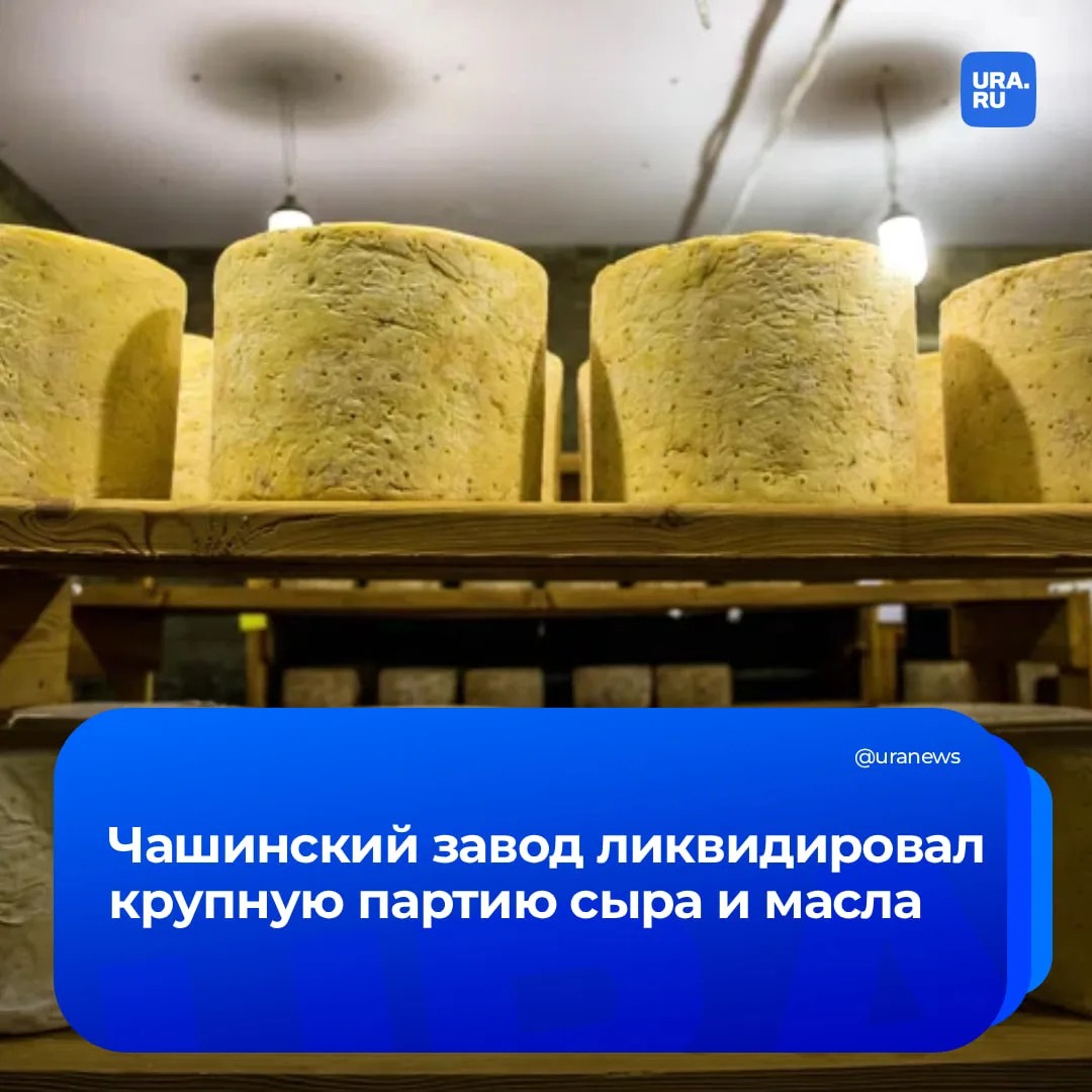 Не пустили в супермаркеты: курганский завод закрылся и утилизировал тонны сыра и масла  Курганский м