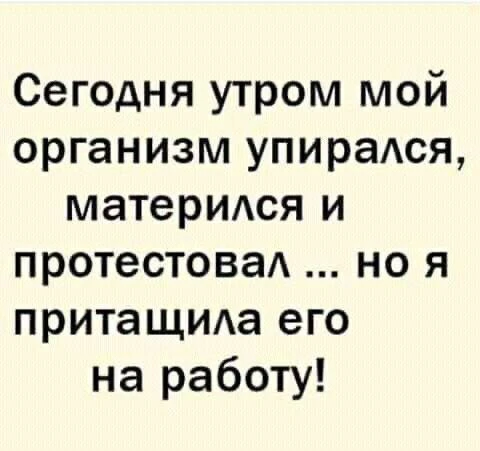 Весёлые анекдоты