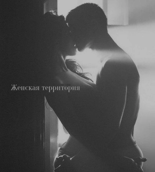 Кошку надо гладить, постоянно трогать, разговаривать с ней, чесать за ушами, всегда заб...