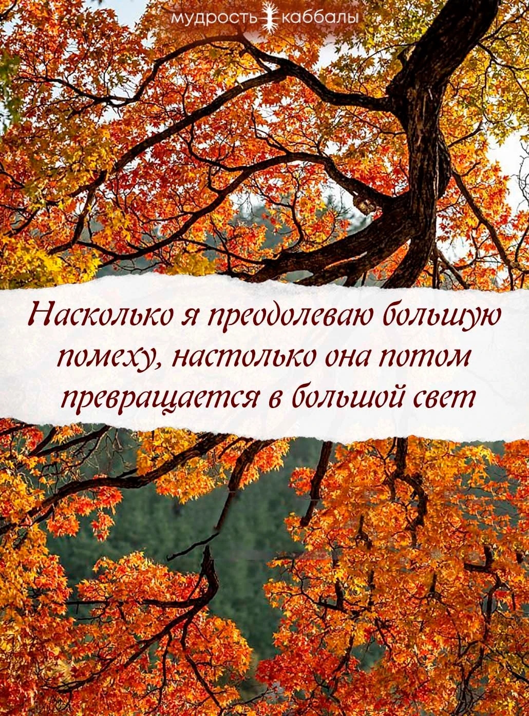 #помеха #свет #преодоление