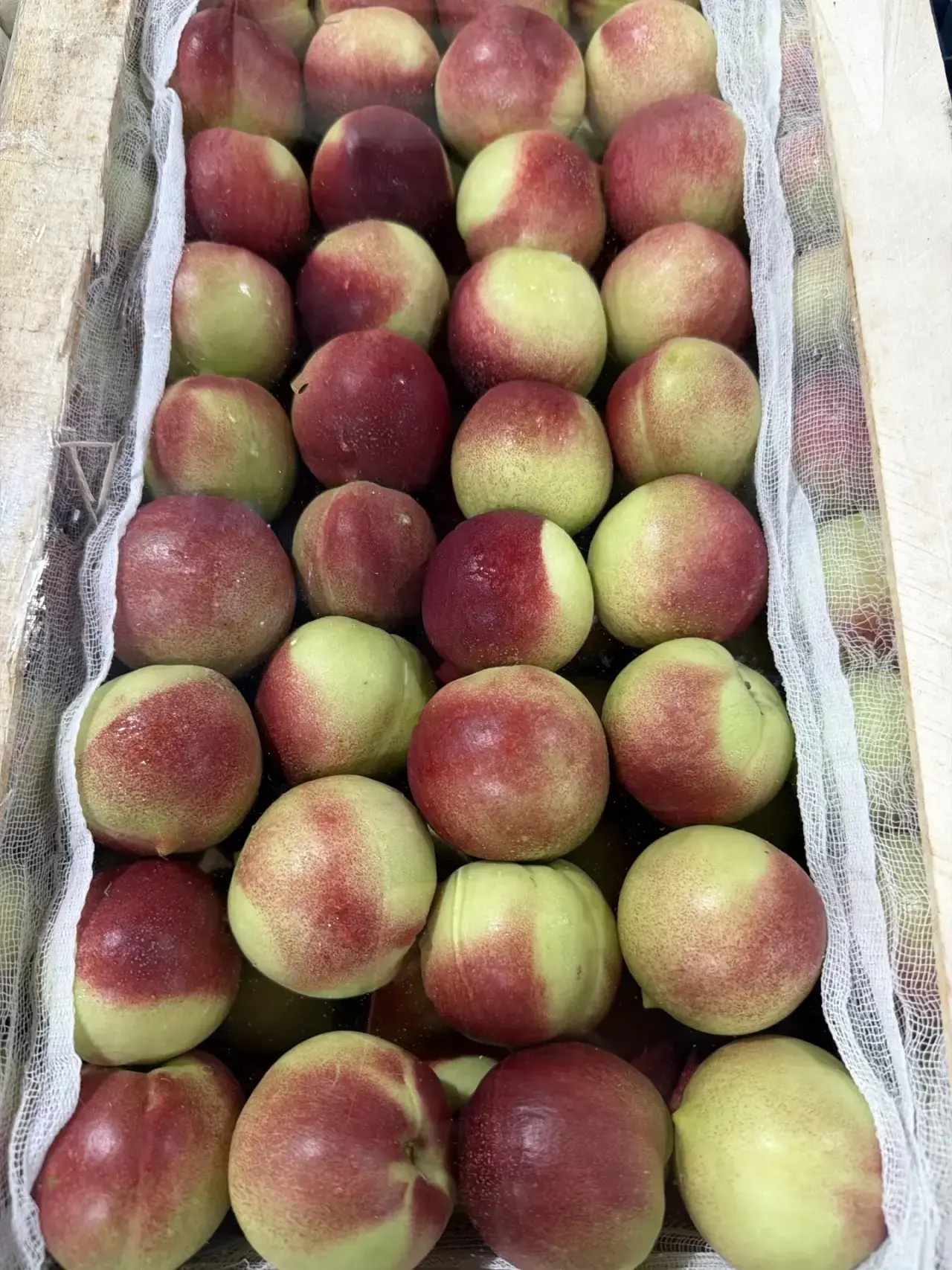 Друзья, доброе утро!
Свежая закупка сделана!
Заказывайте!

Freshboxmoscow.ru