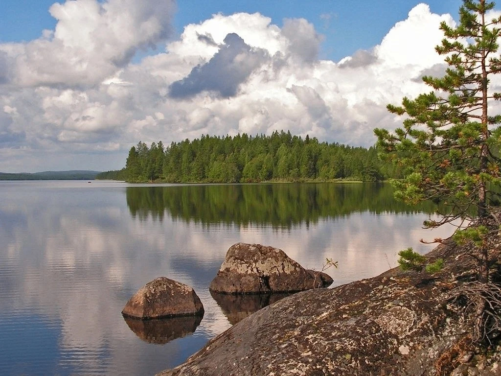 Озеро 🌊 🌊 🌊 🌊 🌊 Нижнее Котозеро