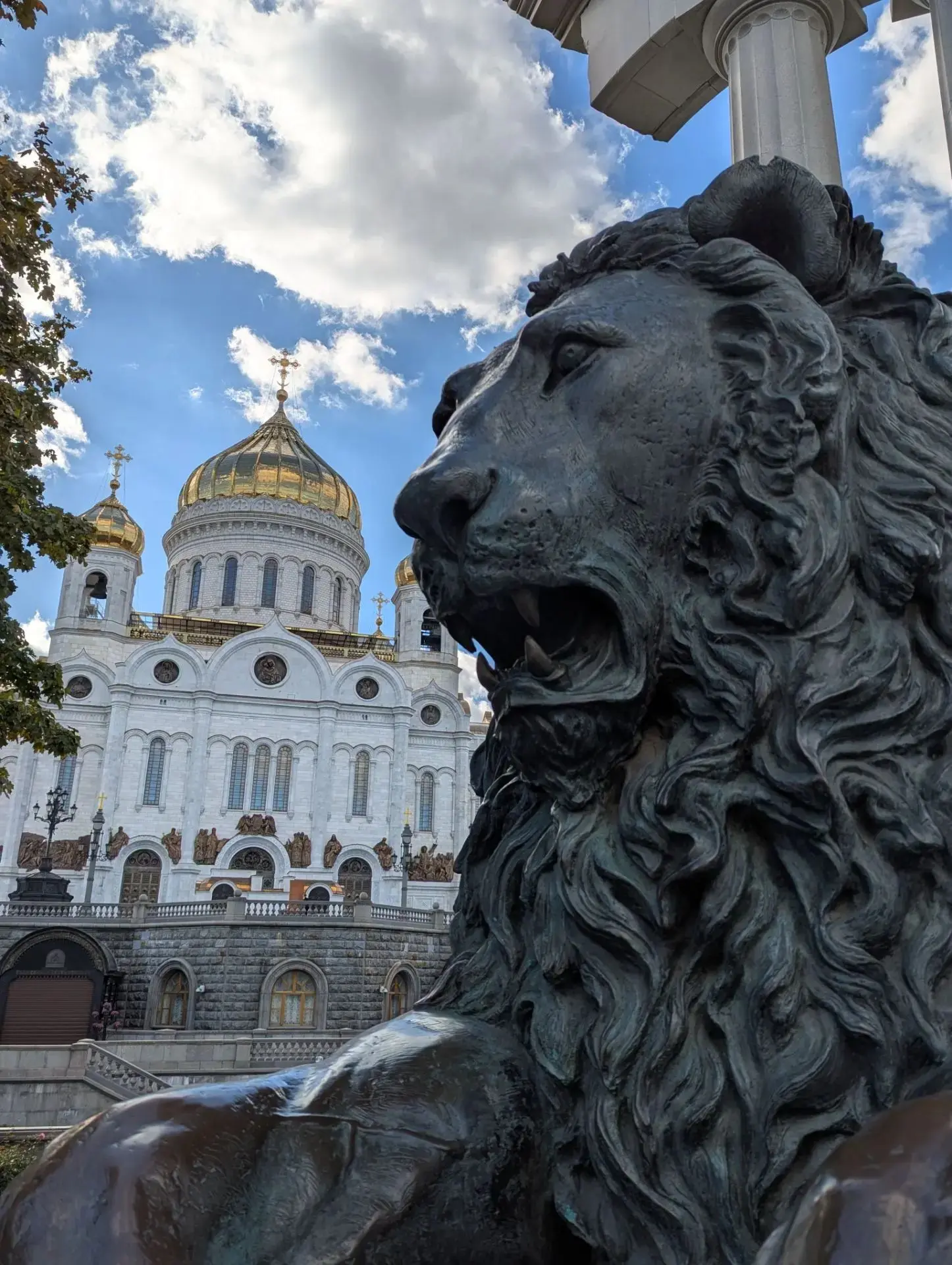 ​Фотография, где в одном кадре сходятся бронзовый лев и Храм Христа Спасителя, появилас...