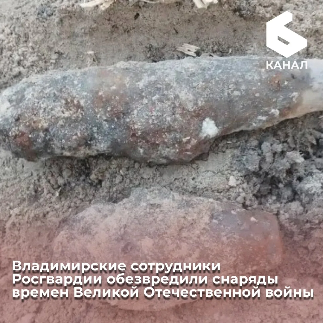 Владимирские сотрудники Росгвардии обезвредили снаряды времен Великой Отечественной войны