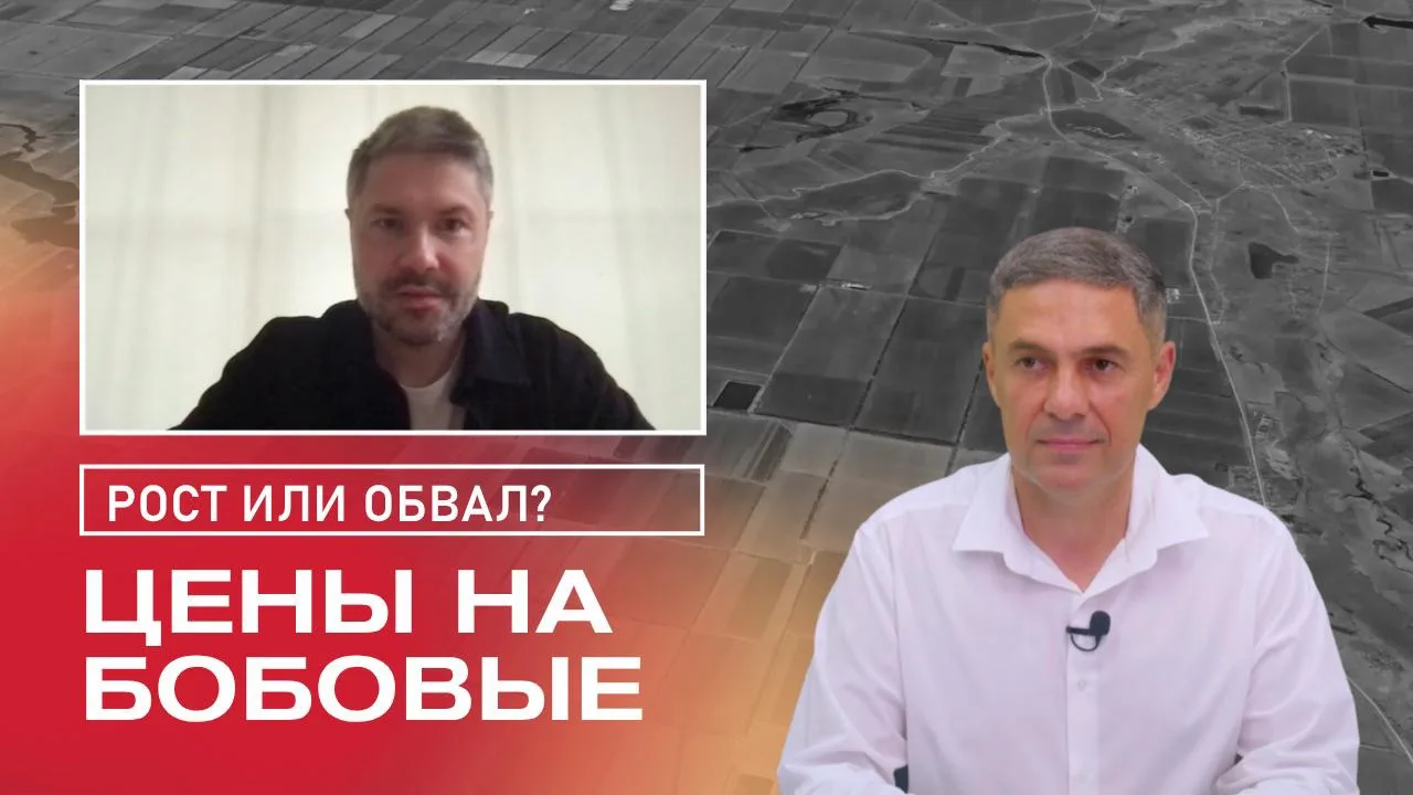 Сергей Плужников разбирает мировой рынок бобовых, производство, запасы и спрос Индии, К...