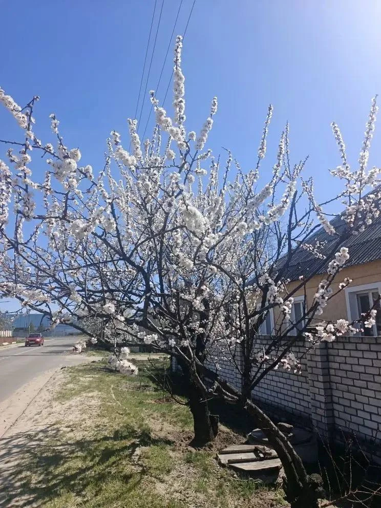Не смотря ни на что, жизнь продолжается.