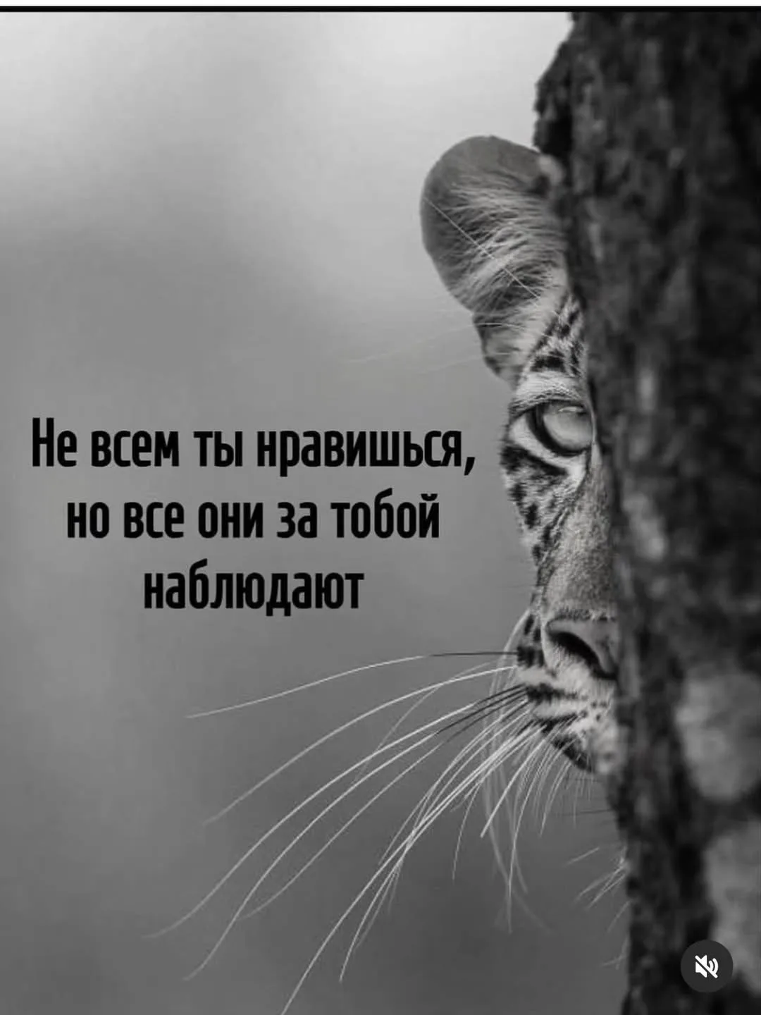 Приходите в ЗОЛОТОЙ ДУХ 💎 мы всем рады 😘