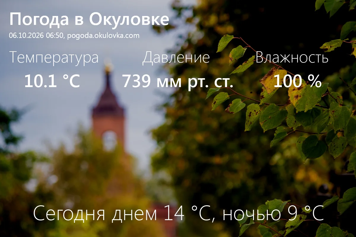 Доброе утро! Сейчас в Окуловке 10.1 °C, давление 739 мм.рт.ст., влажность 100%.