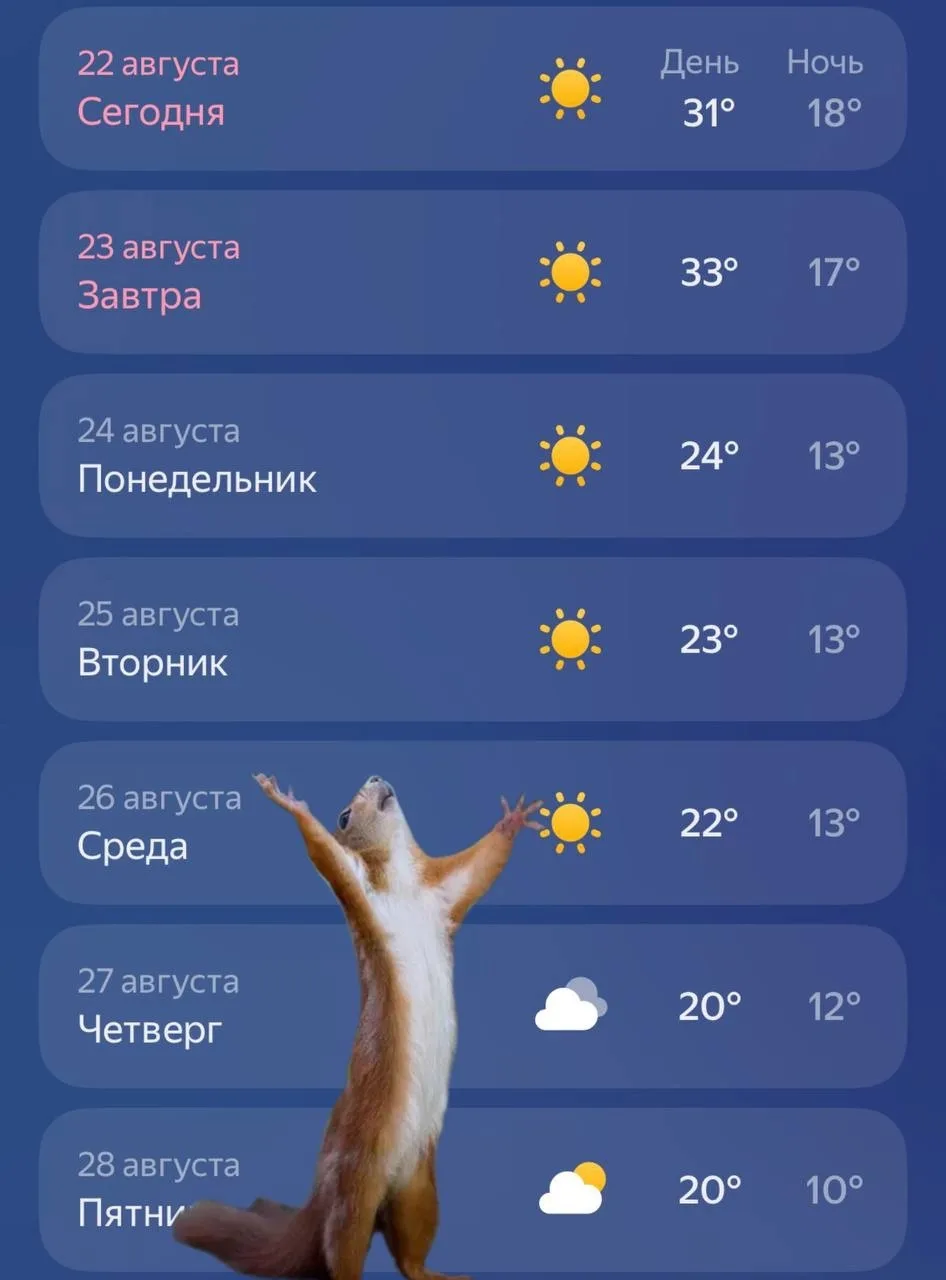 Спасительная прохлада вернется в Воронеж совсем скоро.
